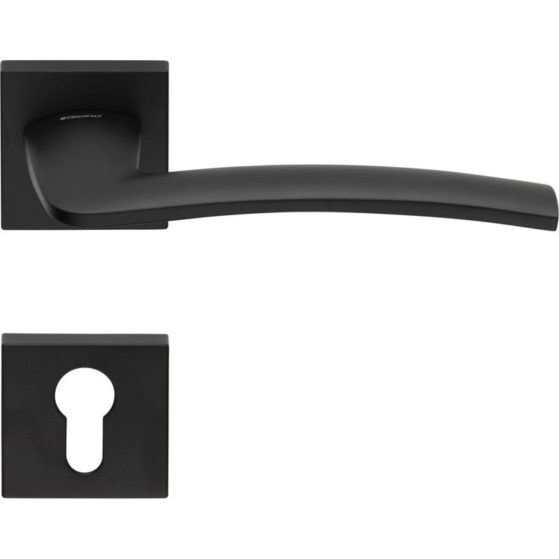 2 Manilla en roseta cuadrada, montaje ultrarrápido Click-Clack , rosetón agujero de llave I para cilindro, negro, para puerta de entrada.