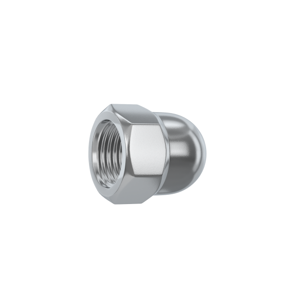 10 tuerca ciega de acero cincado Ø 6 mm