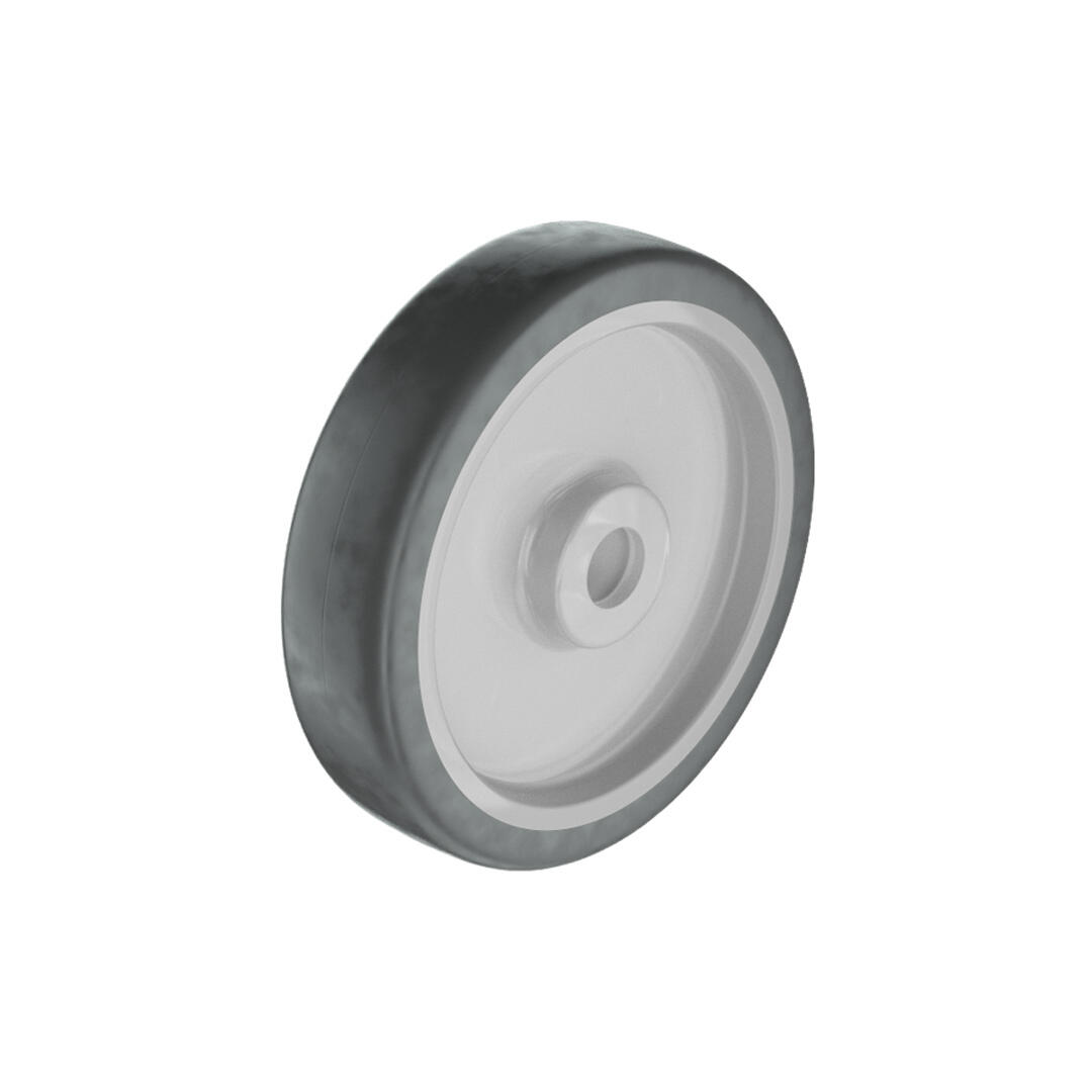 1 rueda fija sobre eje , ø 100 mm, peso max. 70 Kg