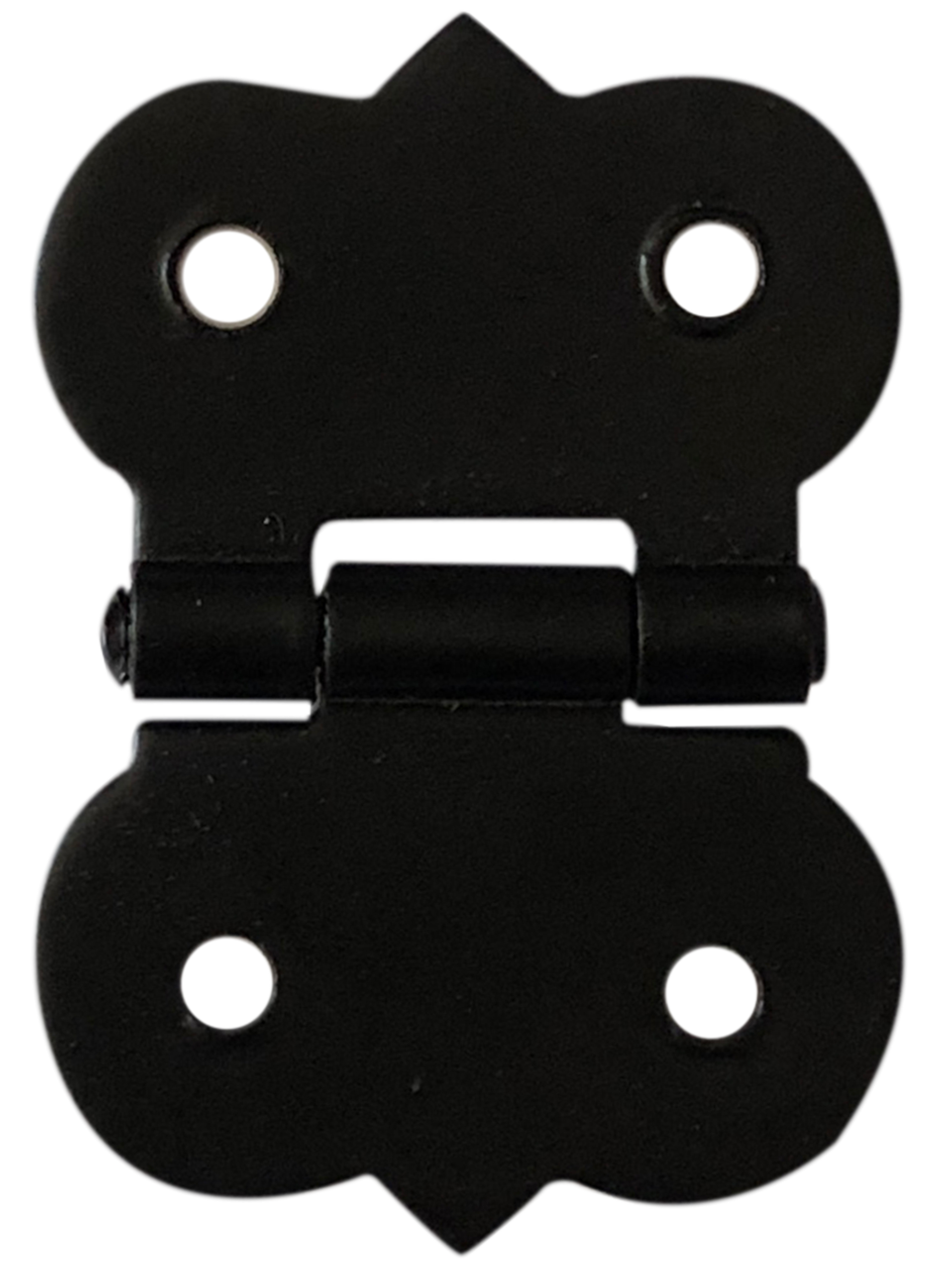 2 bisagra para muebles de hierro epoxi y 2x20 mm
